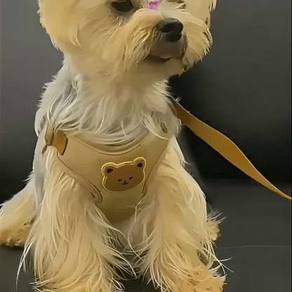 mouvement chien harnais pour petit chien