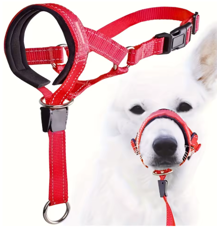 Muselière chien anti-morsure rouge chien berger suisse