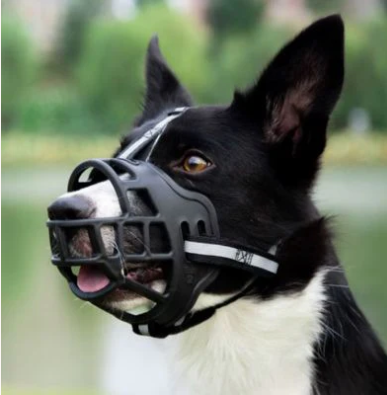 Muselière chien silicone confort sécurité | GuardianSnout