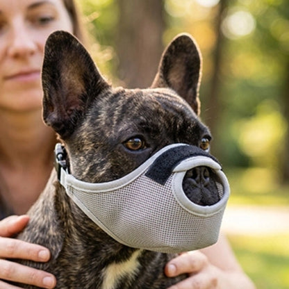 Muselière chien maille gris