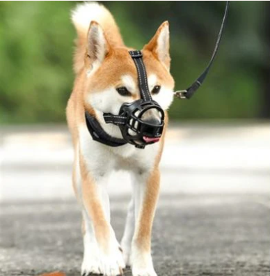 Muselière chien silicone confort sécurité | GuardianSnout