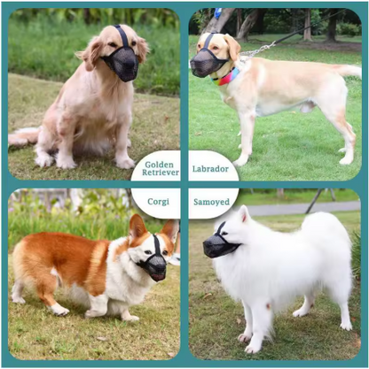 Muselière chien silicone différents chiens