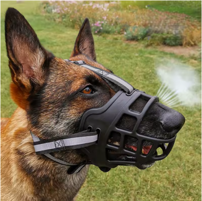 Muselière chien silicone confort sécurité | GuardianSnout