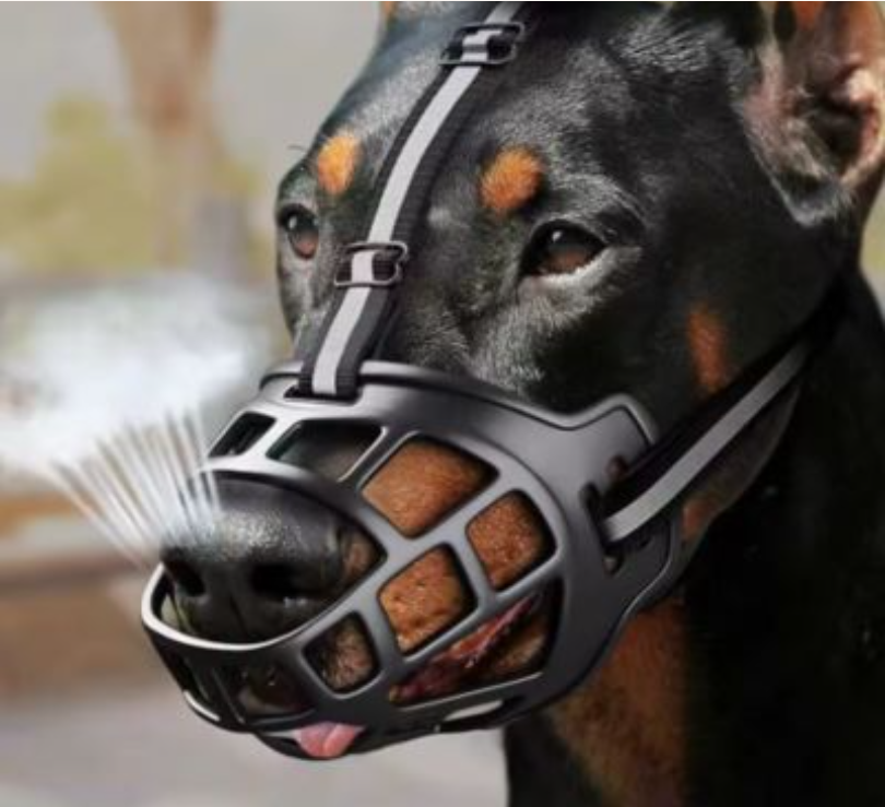 Muselière chien silicone confort sécurité | GuardianSnout