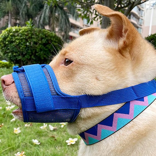 Muselière ergonomique douce respirante