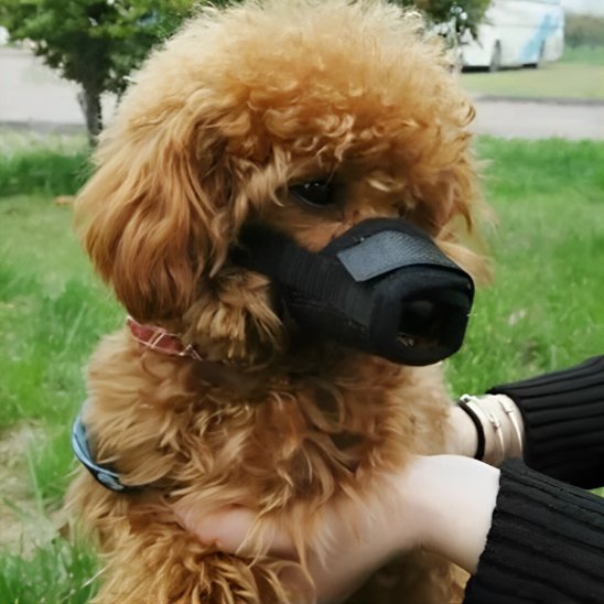 Muselière ergonomique confortable