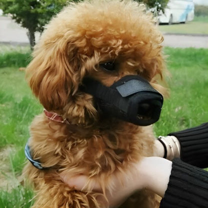 Muselière ergonomique confortable