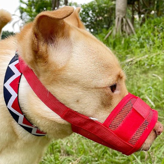 Muselière ergonomique respirant chien