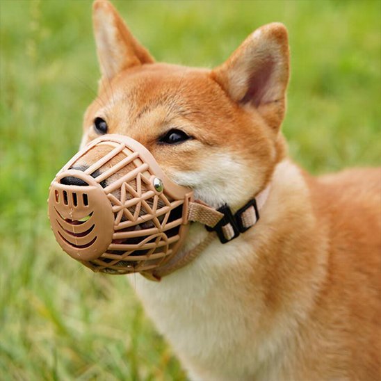 Muselière pour chien ajustable confortable