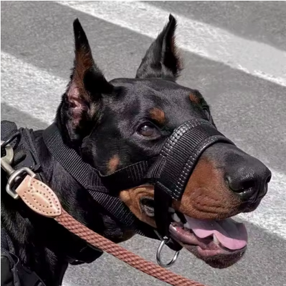 Muselière pour chien anneau en D