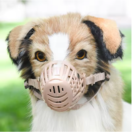 Muselière pour chien anti-glouton