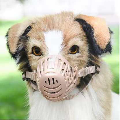 Muselière pour chien anti-glouton