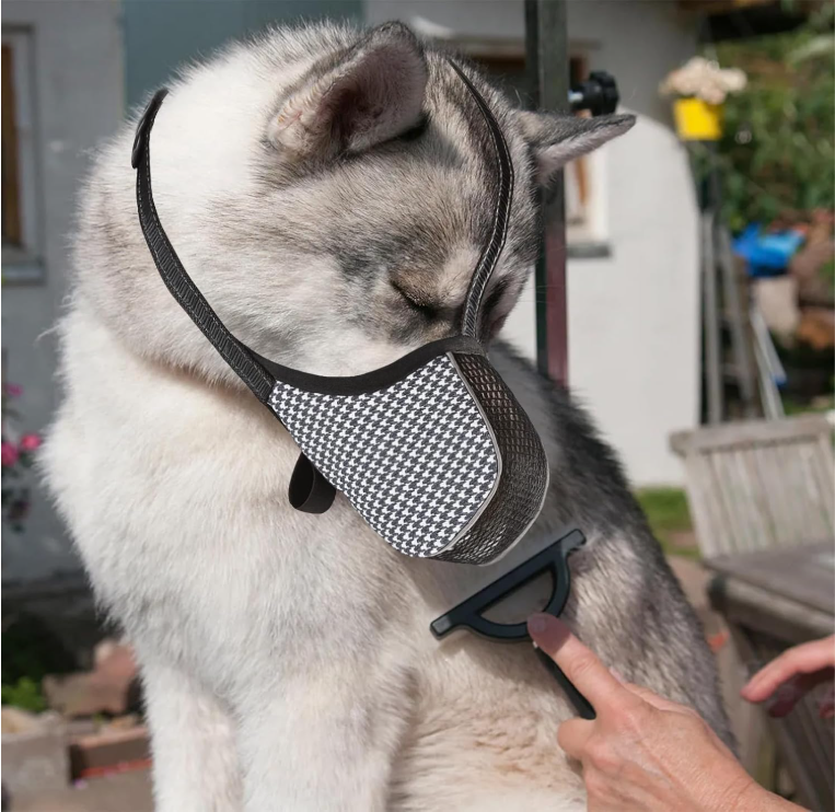 Muselière pour chien anti morsure confortable