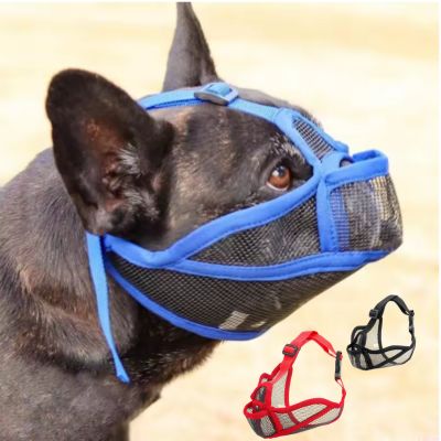 Muselière pour chien brachycéphale bleu noir rouge