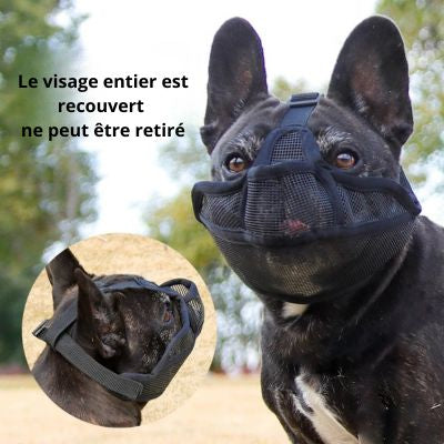 Muselière pour chien brachycéphale visage recouvert
