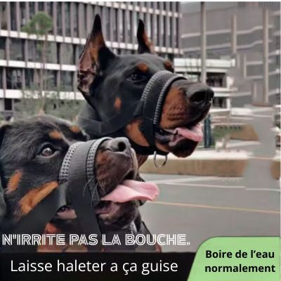 Muselière pour chien confortable légère