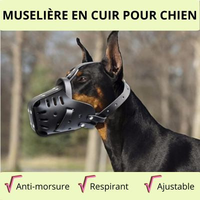 Muselière pour chien cuir anti-morsure respirante ajustable