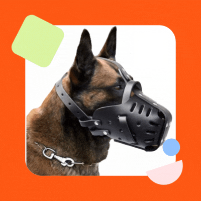 Muselière pour chien cuir cadre