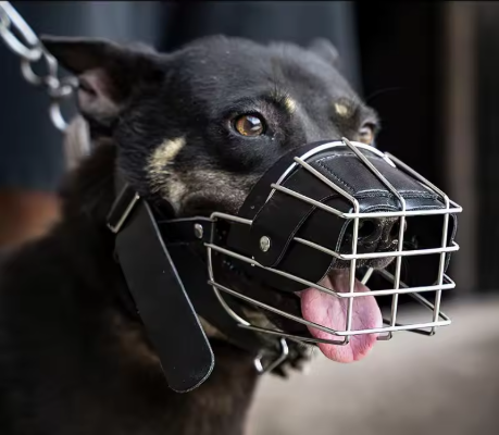 Muselière pour chien cuir cage couleur noir
