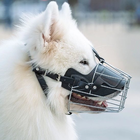 Muselière pour chien cuir chien profil