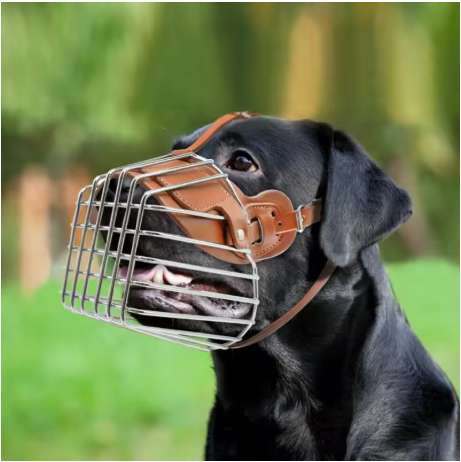Muselière pour chien cuir chien rottweiller