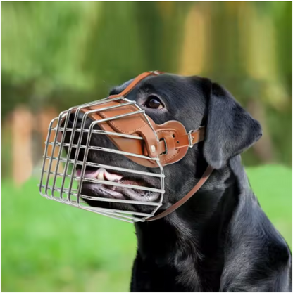 Muselière pour chien cuir chien rottweiller
