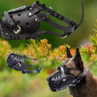 Muselière pour chien cuir gros plan