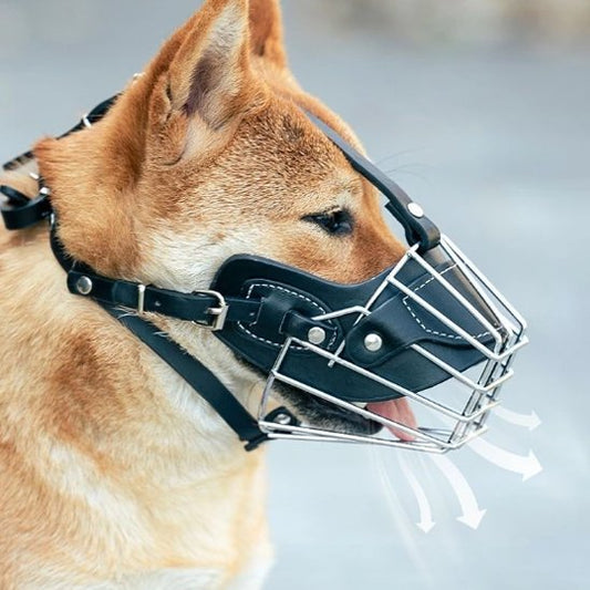 Muselière pour chien cuir noir cage métallique