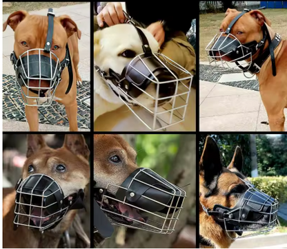 Muselière pour chien cuir plusieurs chiens fort