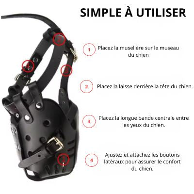 Muselière pour chien cuir utilisation