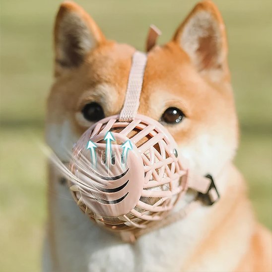 Muselière pour chien respirante légère