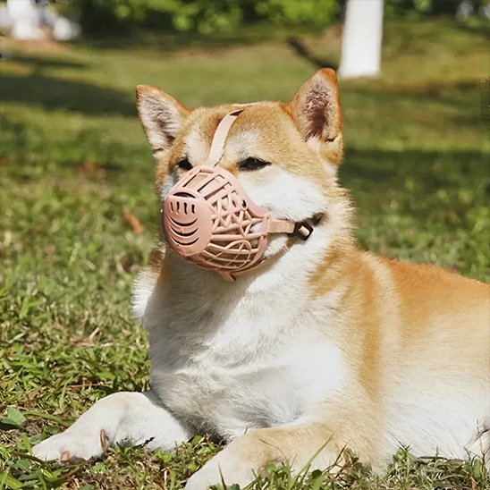 Muselière pour chien sécuritaire