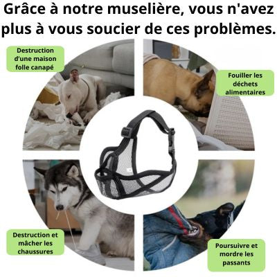 Muselière respirante pour chien brachycéphale problème