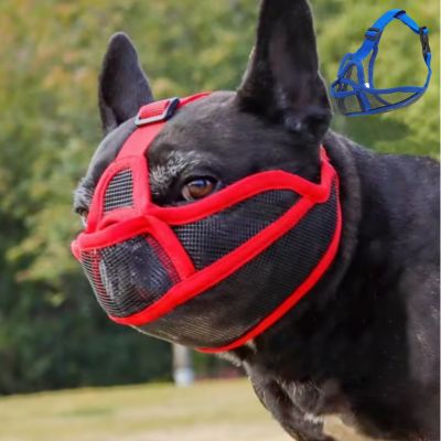 Muselière respirante pour chien brachycéphale rouge bleu