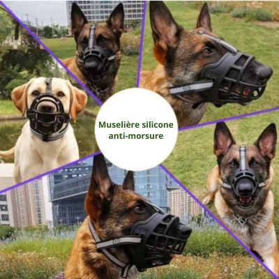 Museliere silicone anti-morsure