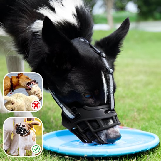 Muselière silicone respirante