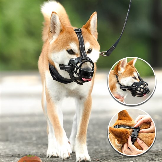 Muselière silicone confortable