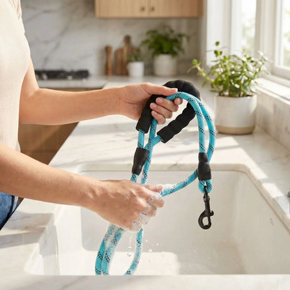 Nettoyage laisse pour chien facilement