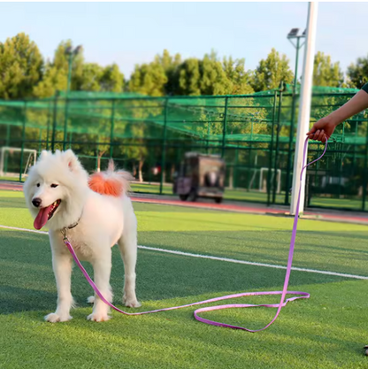 noble chien terrain tennis longe pour chien