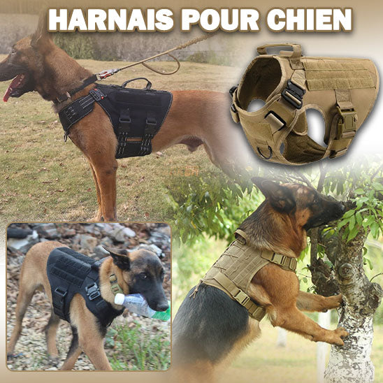 noir kaki harnais pour chien tactique