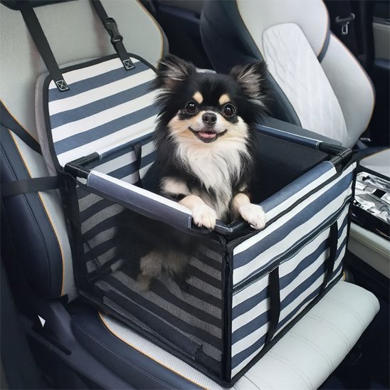 Nom L'AutoCopilot Siege auto pour chien blanc bleu