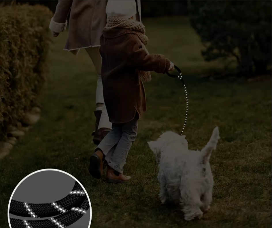 nuit laisse pour chien reflechissante