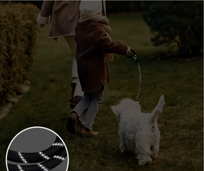 nuit laisse pour chien reflechissante