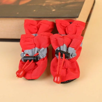 Paire de Chaussures chien​ rouge