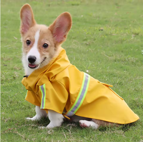 Patapluie chien assis imperméable pour chien