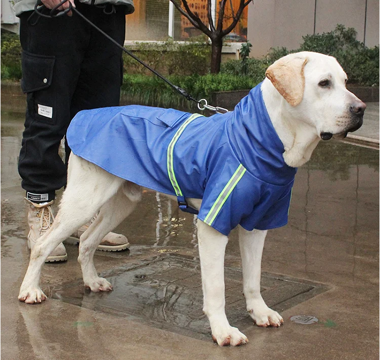 Patapluie promenade chien imperméable pour chien