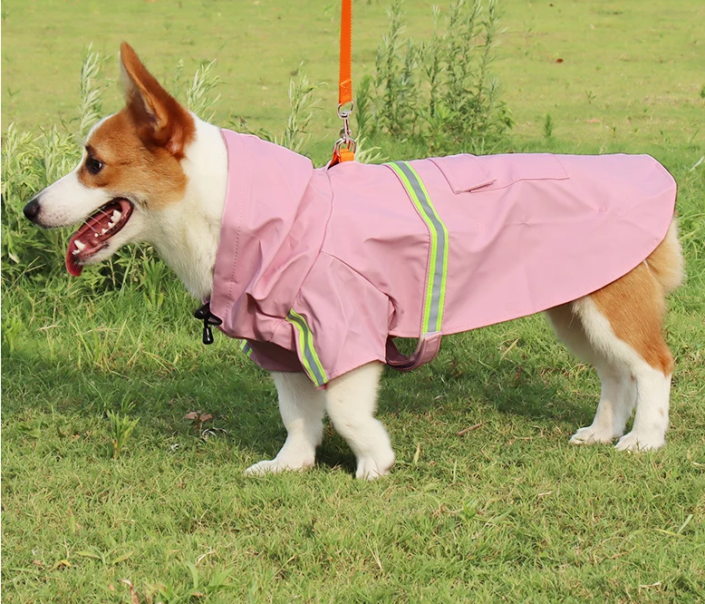 Patapluie promenade pré impermeable pour chien