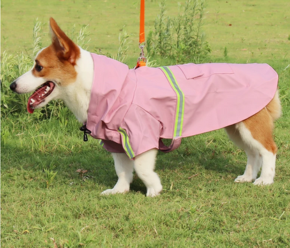 Patapluie promenade pré impermeable pour chien