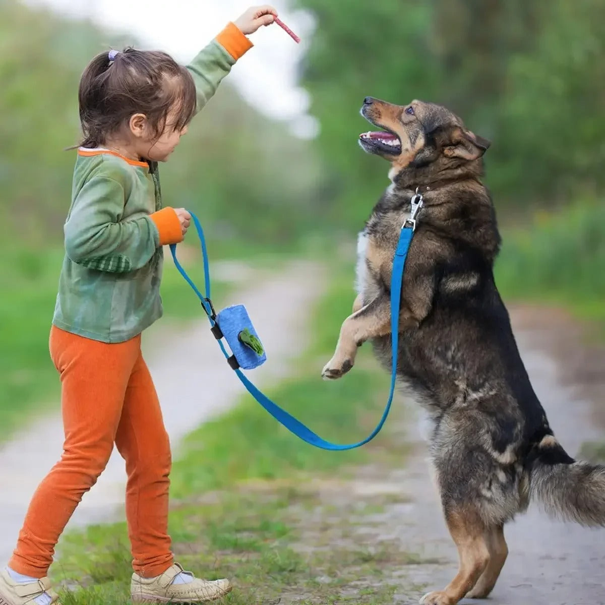 pawdog attache laisse distributeur sac à crotte