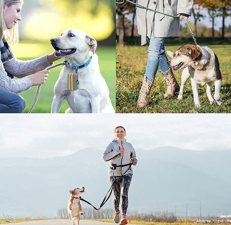 Pawdog distributeur sac à excrément en situation chien